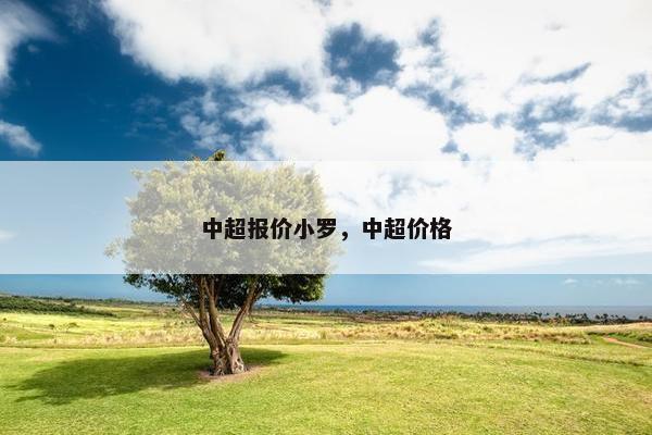 中超报价小罗，中超价格