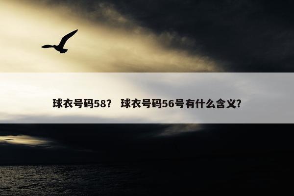 球衣号码58？ 球衣号码56号有什么含义？