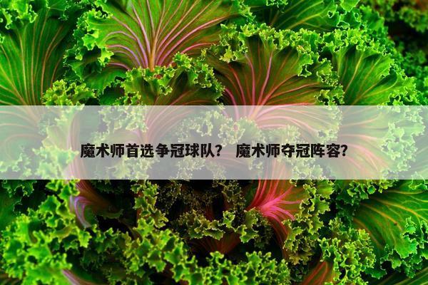 魔术师首选争冠球队？ 魔术师夺冠阵容？
