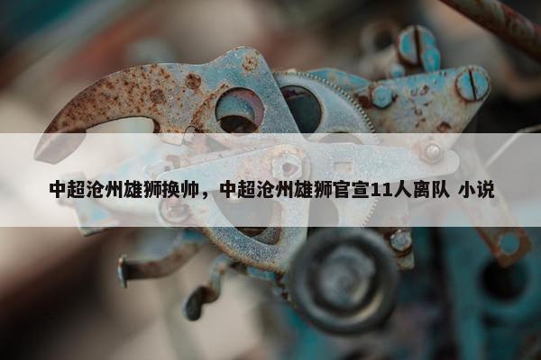 中超沧州雄狮换帅，中超沧州雄狮官宣11人离队 小说
