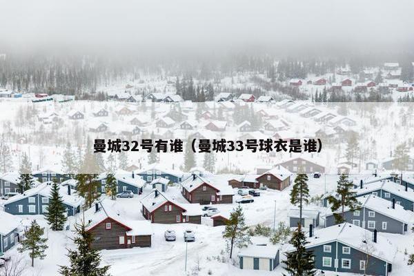 曼城32号有谁（曼城33号球衣是谁）