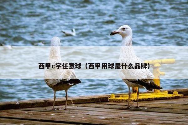 西甲c字任意球（西甲用球是什么品牌）