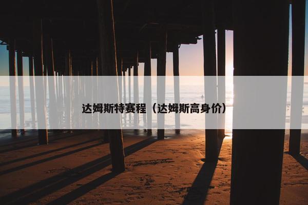 达姆斯特赛程（达姆斯高身价）