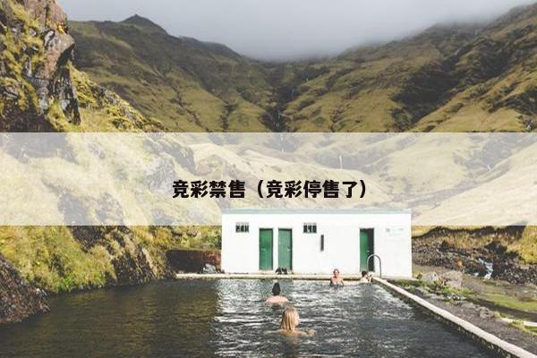 竞彩禁售（竞彩停售了）