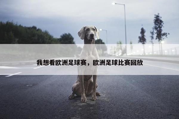 我想看欧洲足球赛，欧洲足球比赛回放