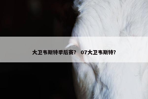 大卫韦斯特季后赛？ 07大卫韦斯特？