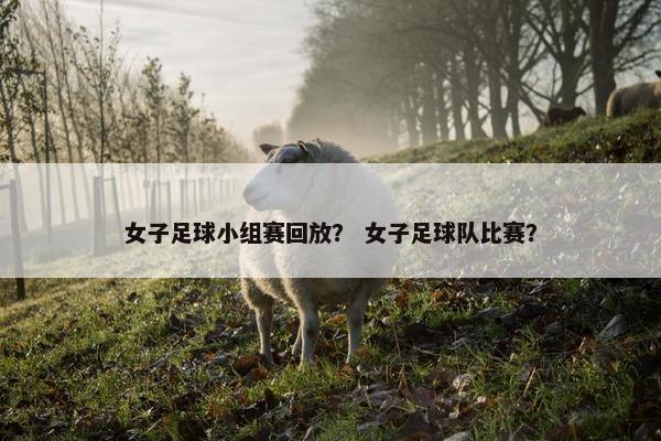 女子足球小组赛回放？ 女子足球队比赛？