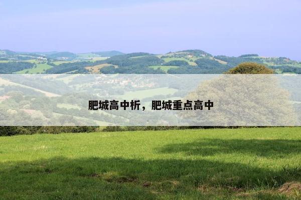 肥城高中析，肥城重点高中