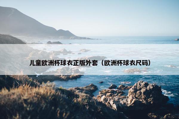 儿童欧洲杯球衣正版外套（欧洲杯球衣尺码）
