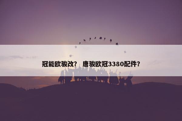 冠能欧骏改？ 唐骏欧冠3380配件？