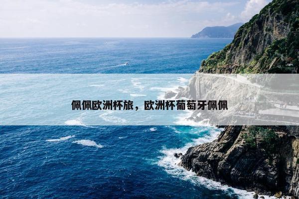 佩佩欧洲杯旅，欧洲杯葡萄牙佩佩