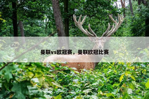 曼联vs欧冠赛，曼联欧冠比赛