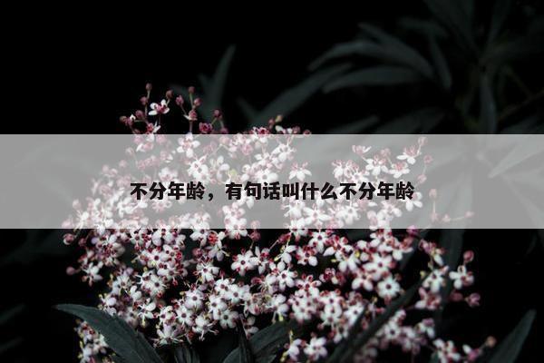 不分年龄，有句话叫什么不分年龄