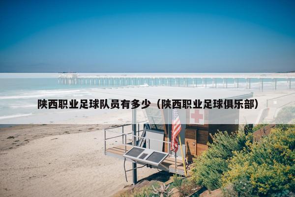 陕西职业足球队员有多少（陕西职业足球俱乐部）