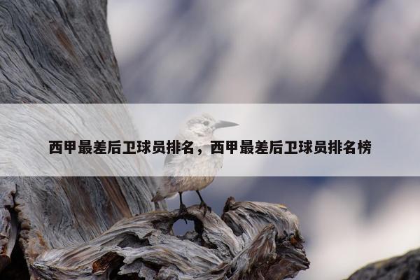 西甲最差后卫球员排名，西甲最差后卫球员排名榜