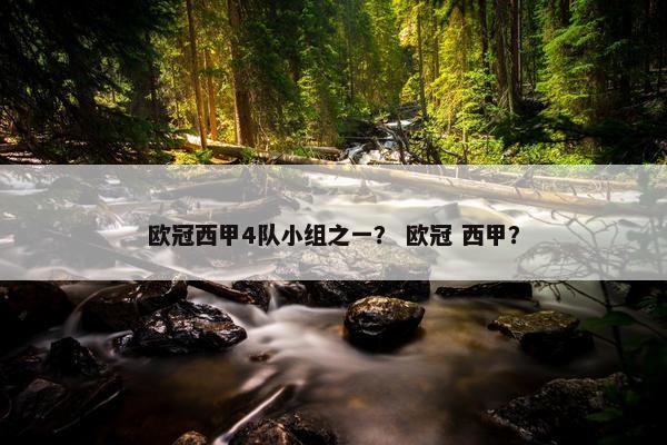 欧冠西甲4队小组之一？ 欧冠 西甲？