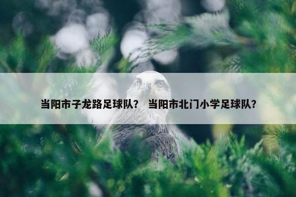当阳市子龙路足球队？ 当阳市北门小学足球队？