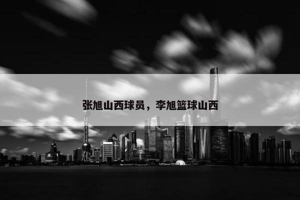 张旭山西球员，李旭篮球山西