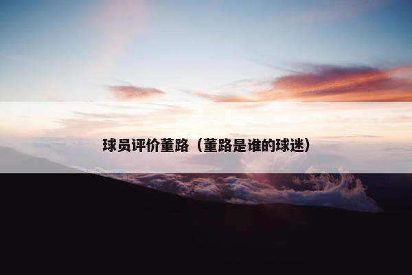 球员评价董路（董路是谁的球迷）