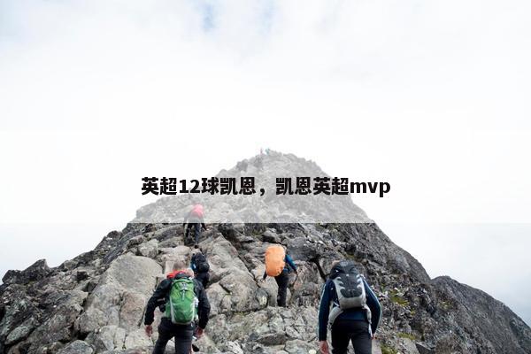 英超12球凯恩，凯恩英超mvp