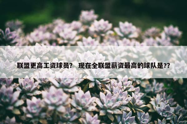 联盟更高工资球员？ 现在全联盟薪资最高的球队是?？