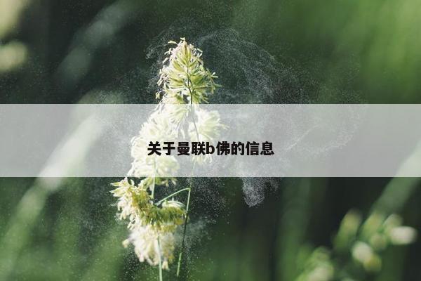 关于曼联b佛的信息