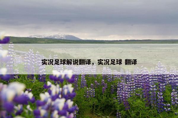 实况足球解说翻译，实况足球 翻译