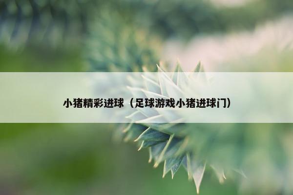 小猪精彩进球（足球游戏小猪进球门）