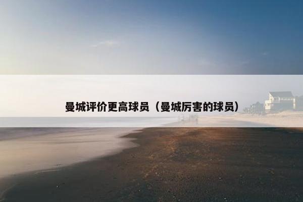 曼城评价更高球员（曼城厉害的球员）