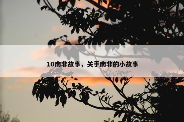 10南非故事，关于南非的小故事