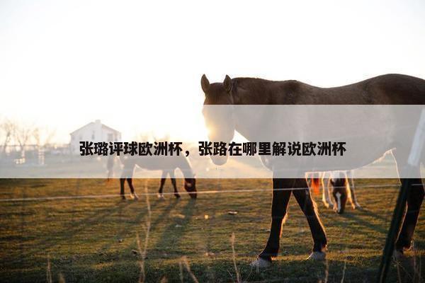 张璐评球欧洲杯，张路在哪里解说欧洲杯