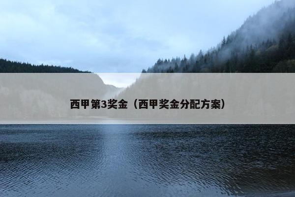 西甲第3奖金（西甲奖金分配方案）