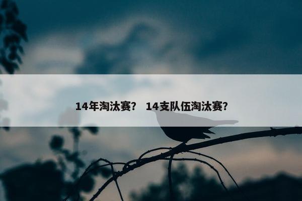 14年淘汰赛？ 14支队伍淘汰赛？