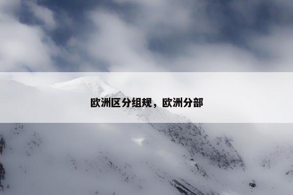 欧洲区分组规，欧洲分部