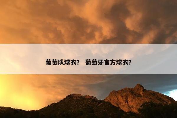 葡萄队球衣？ 葡萄牙官方球衣？