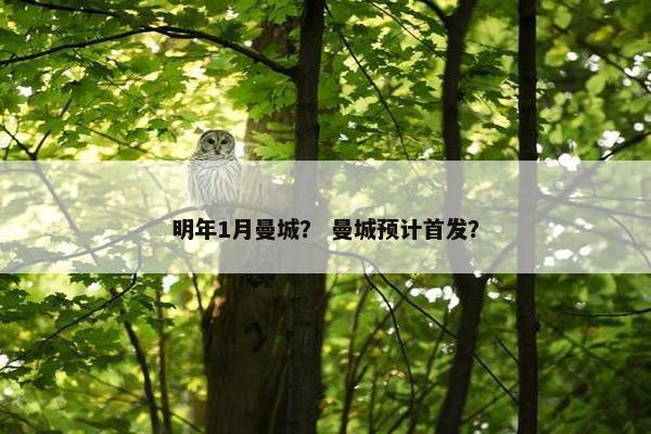 明年1月曼城？ 曼城预计首发？