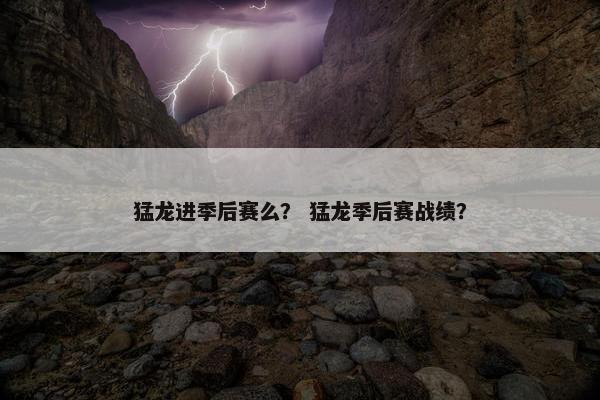 猛龙进季后赛么？ 猛龙季后赛战绩？