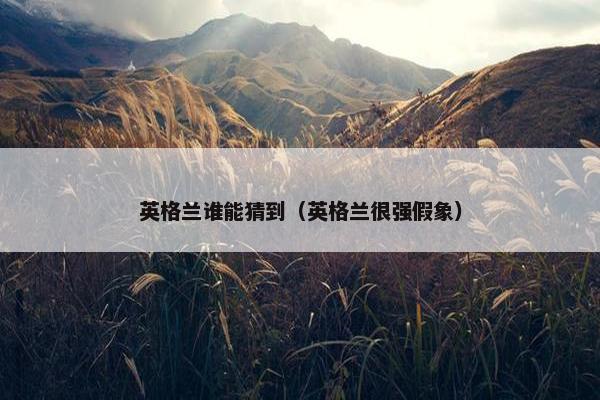 英格兰谁能猜到（英格兰很强假象）
