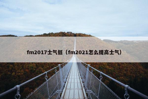 fm2017士气低（fm2021怎么提高士气）