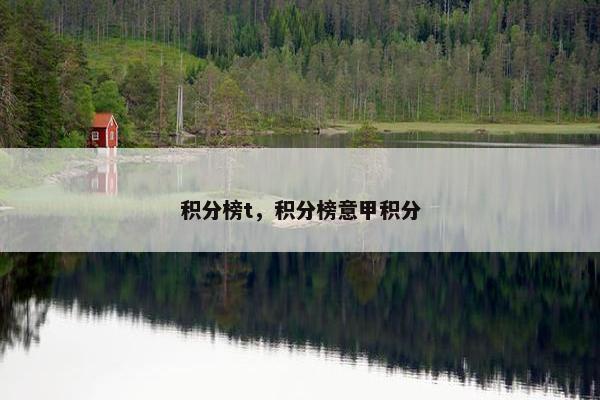 积分榜t，积分榜意甲积分