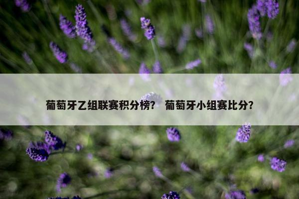 葡萄牙乙组联赛积分榜？ 葡萄牙小组赛比分？
