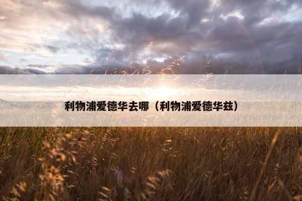 利物浦爱德华去哪（利物浦爱德华兹）