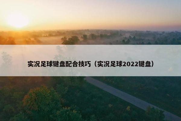实况足球键盘配合技巧（实况足球2022键盘）