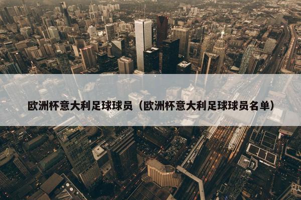 欧洲杯意大利足球球员（欧洲杯意大利足球球员名单）