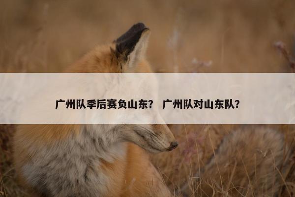 广州队季后赛负山东？ 广州队对山东队？