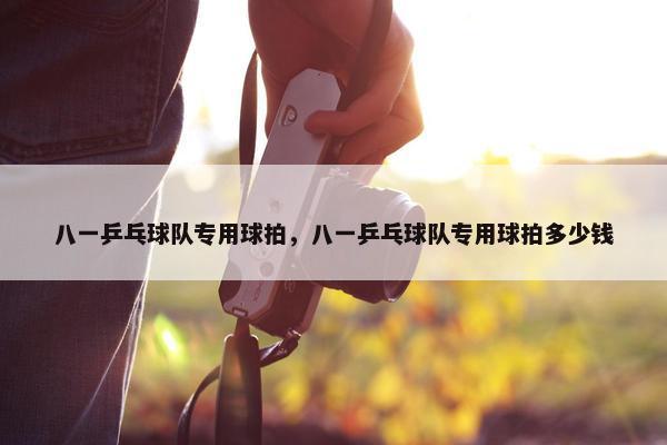 八一乒乓球队专用球拍，八一乒乓球队专用球拍多少钱