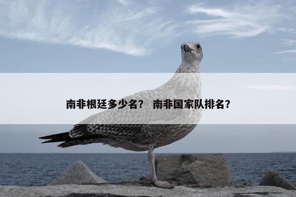 南非根廷多少名？ 南非国家队排名？