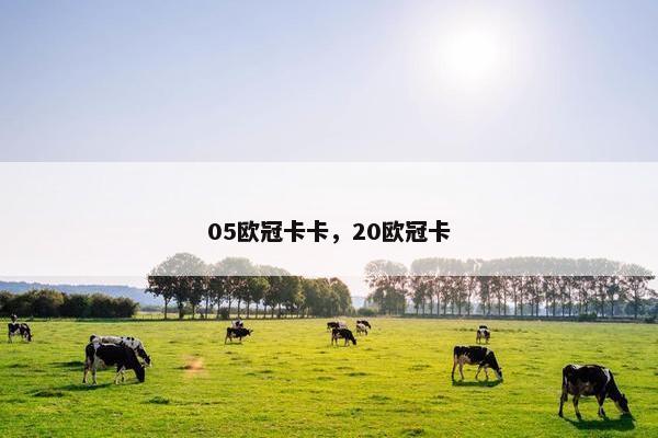 05欧冠卡卡，20欧冠卡
