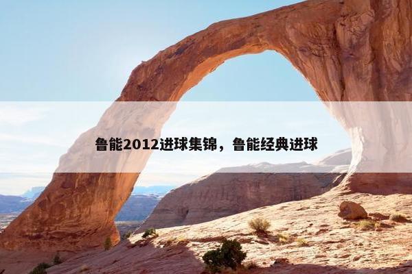 鲁能2012进球集锦，鲁能经典进球
