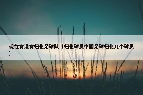 现在有没有归化足球队（归化球员中国足球归化几个球员）